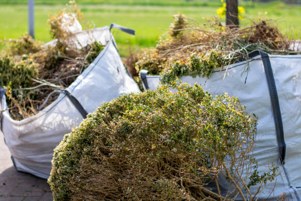 Best Junk Hauling Services  in Bazon, CA